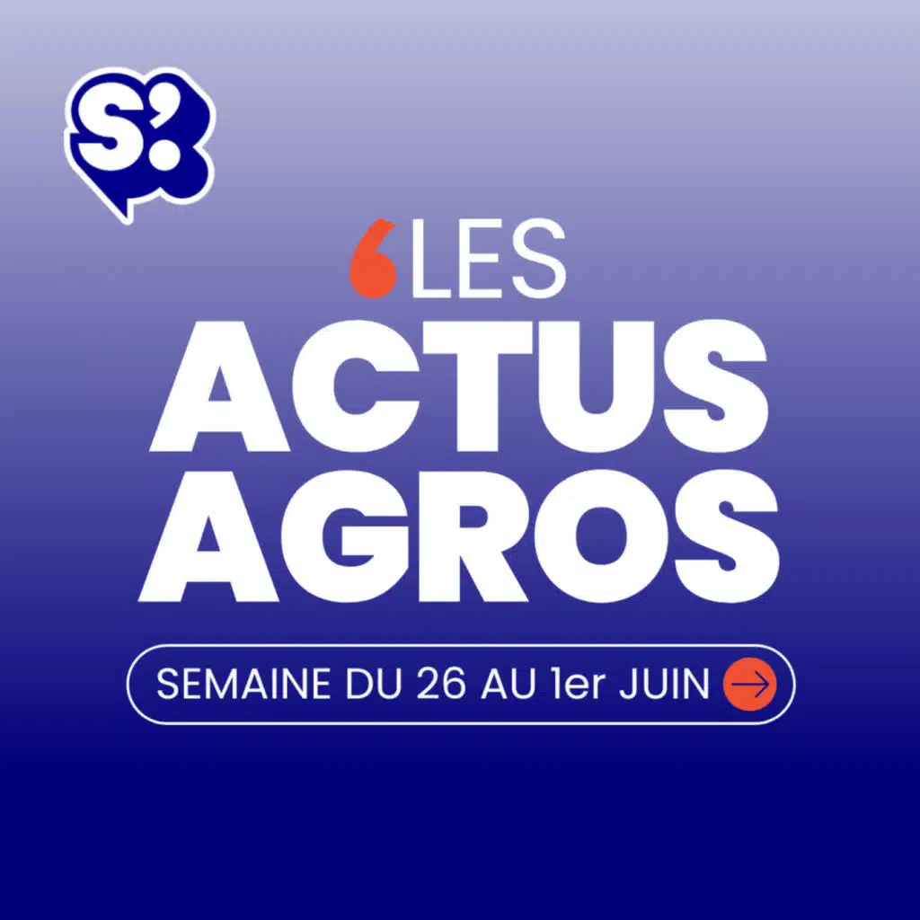 Actualités agroalimentaire S21 - Décryptage du marché des glaces