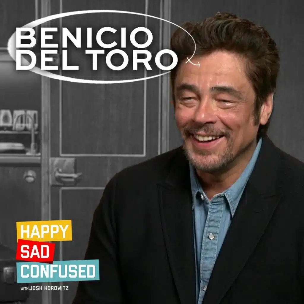 Benicio Del Toro