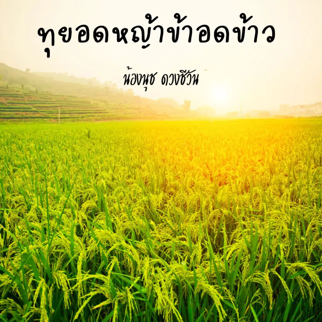 น้องนุช ดวงชีวัน