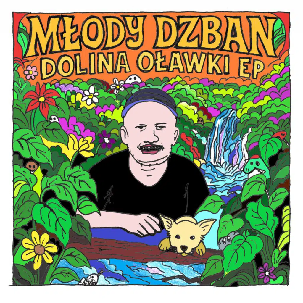 DOLINA OŁAWKI
