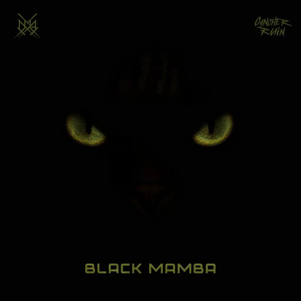 Black Mamba