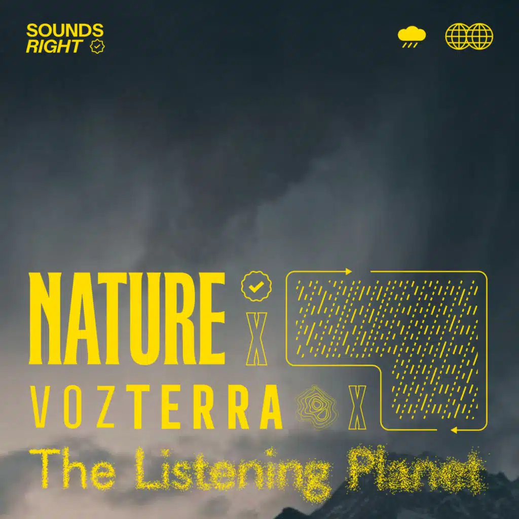 Rain Sounds Symphony