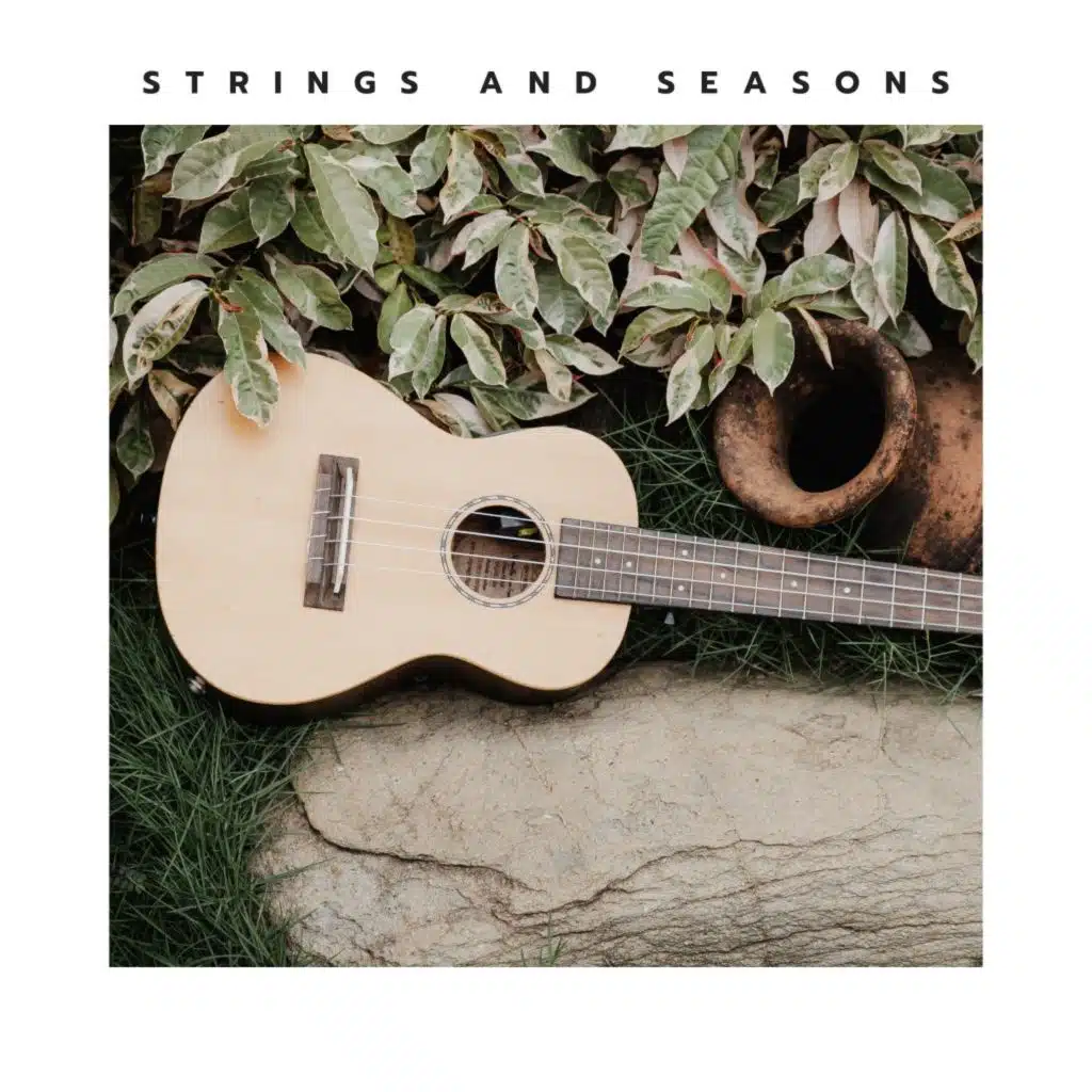 Strings and Seasons