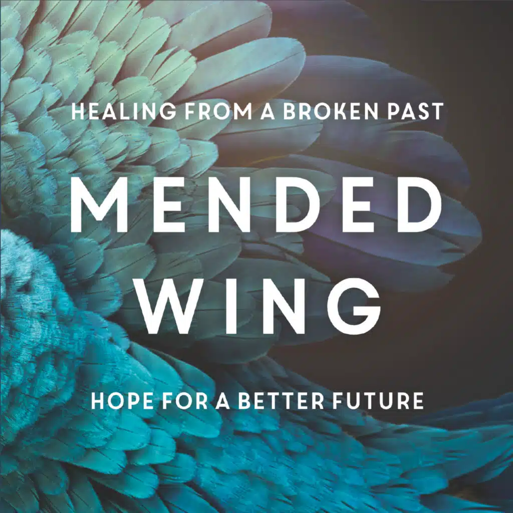 Mended Wing