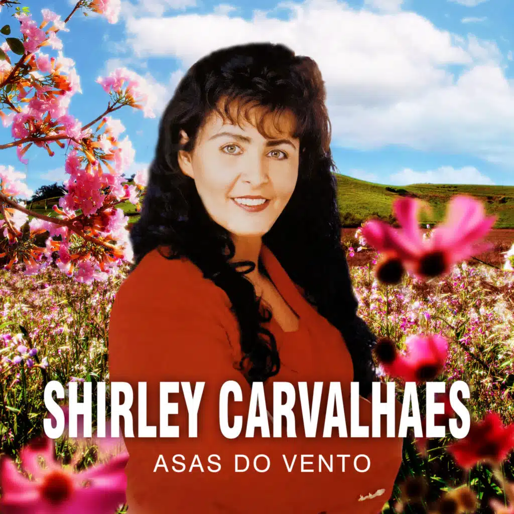 Asas do Vento (Playback)
