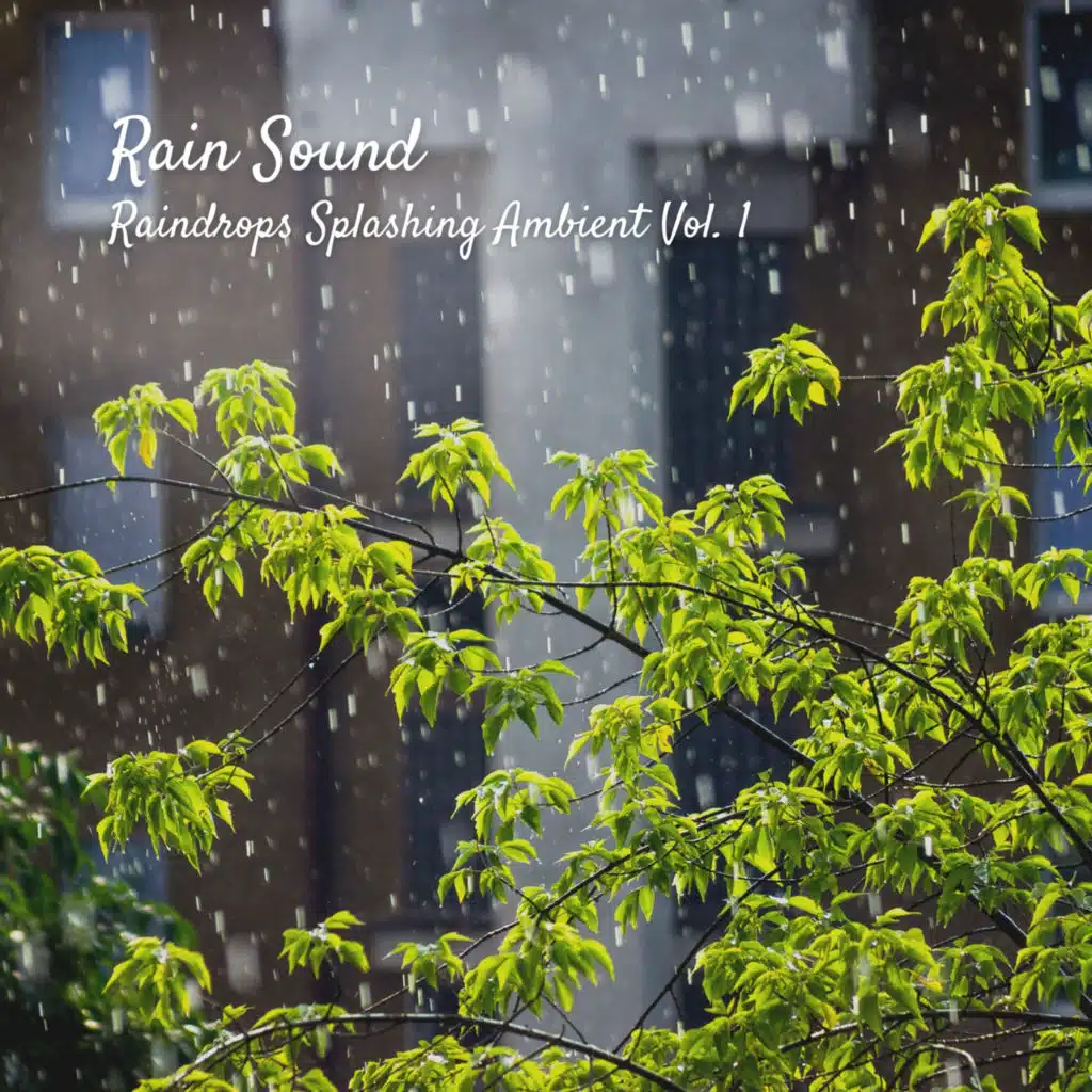 Rain Sound: Raindrops Splashing Ambient Vol. 1