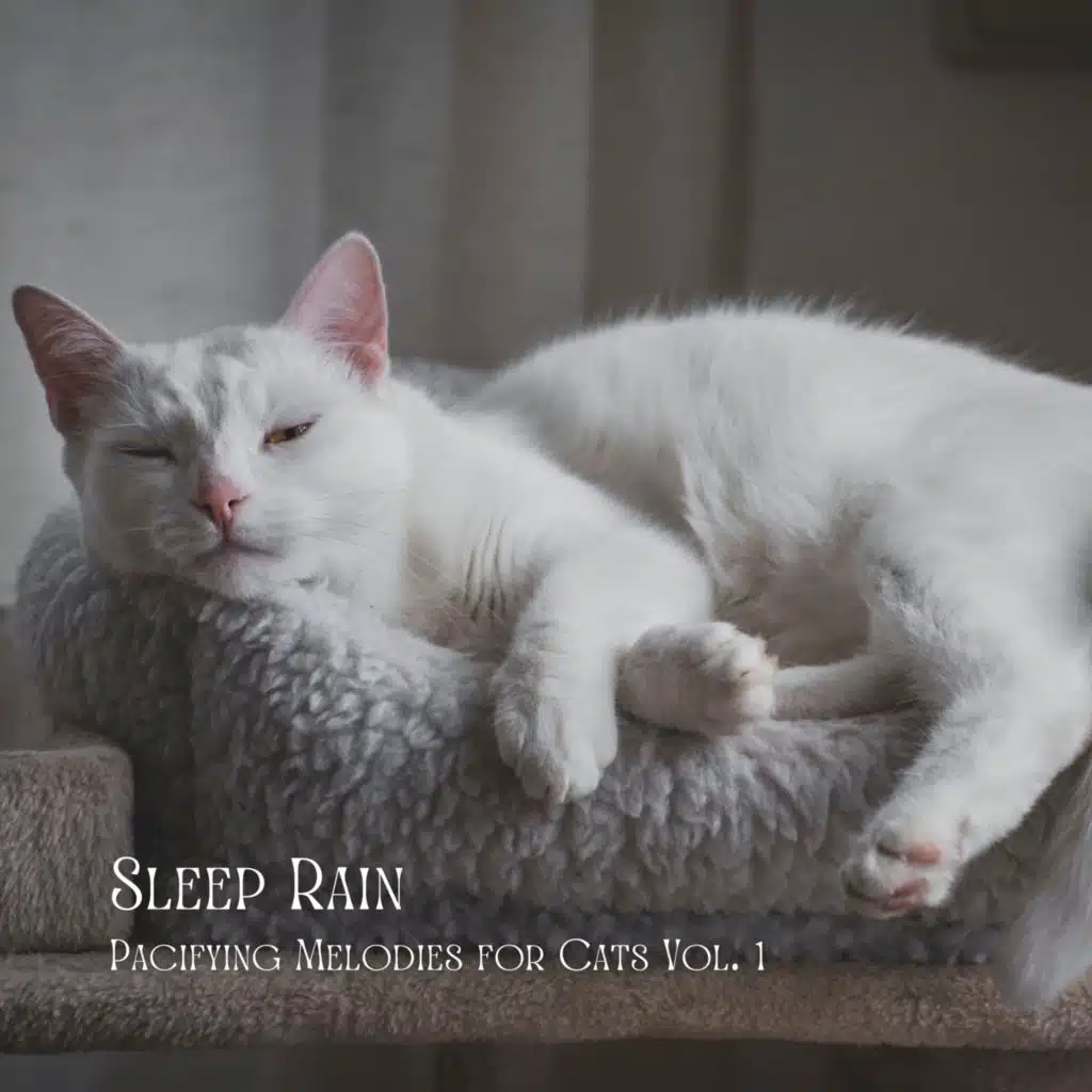 Sleep Rain: Pacifying Melodies for Cats Vol. 1
