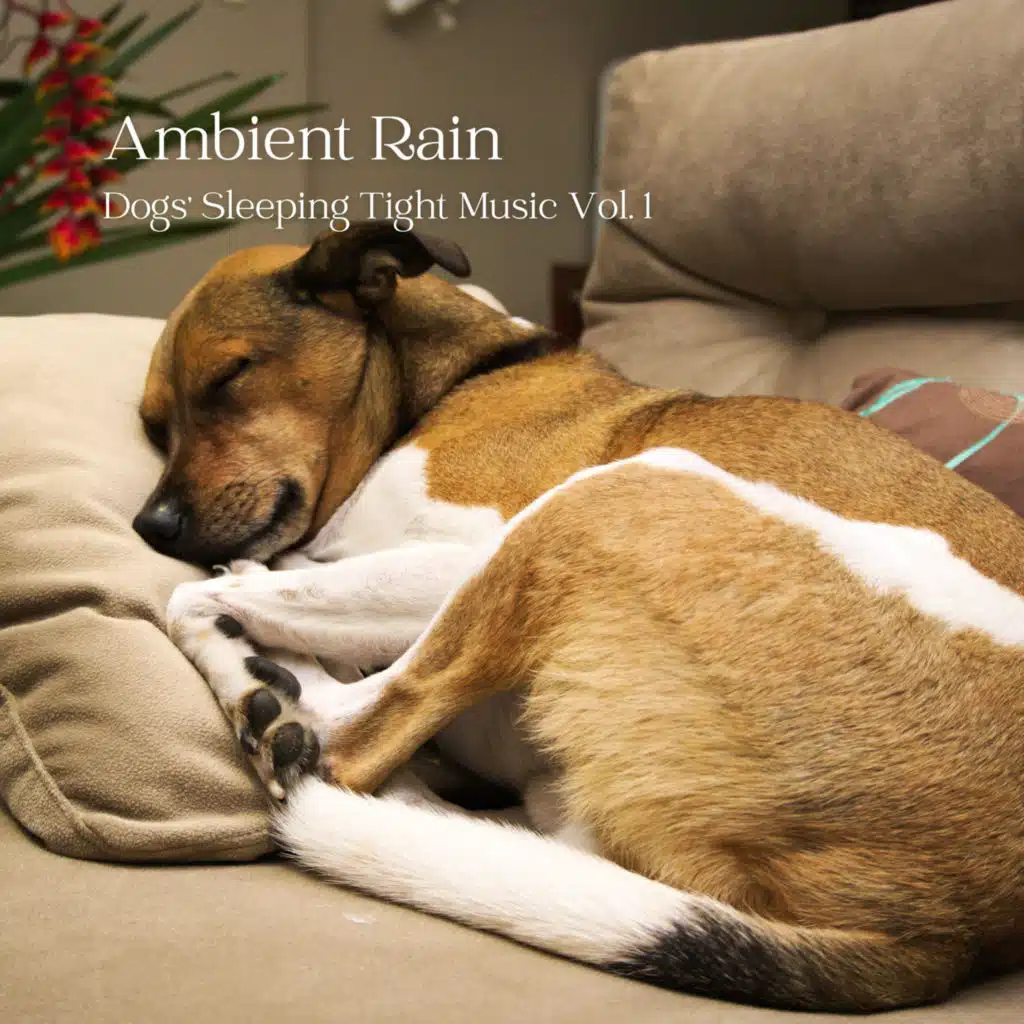 Ambient Rain: Dogs' Sleeping Tight Music Vol. 1