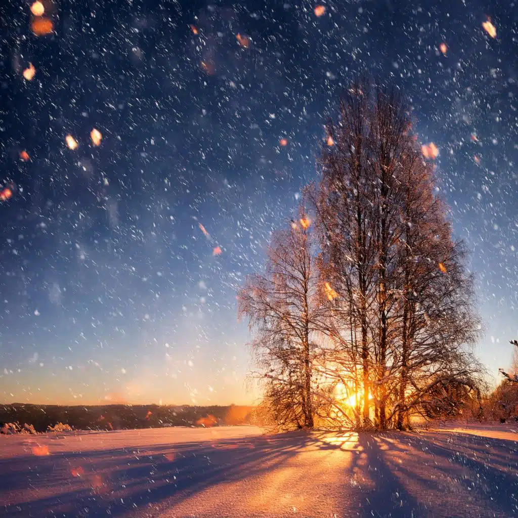 Music For All Seasons