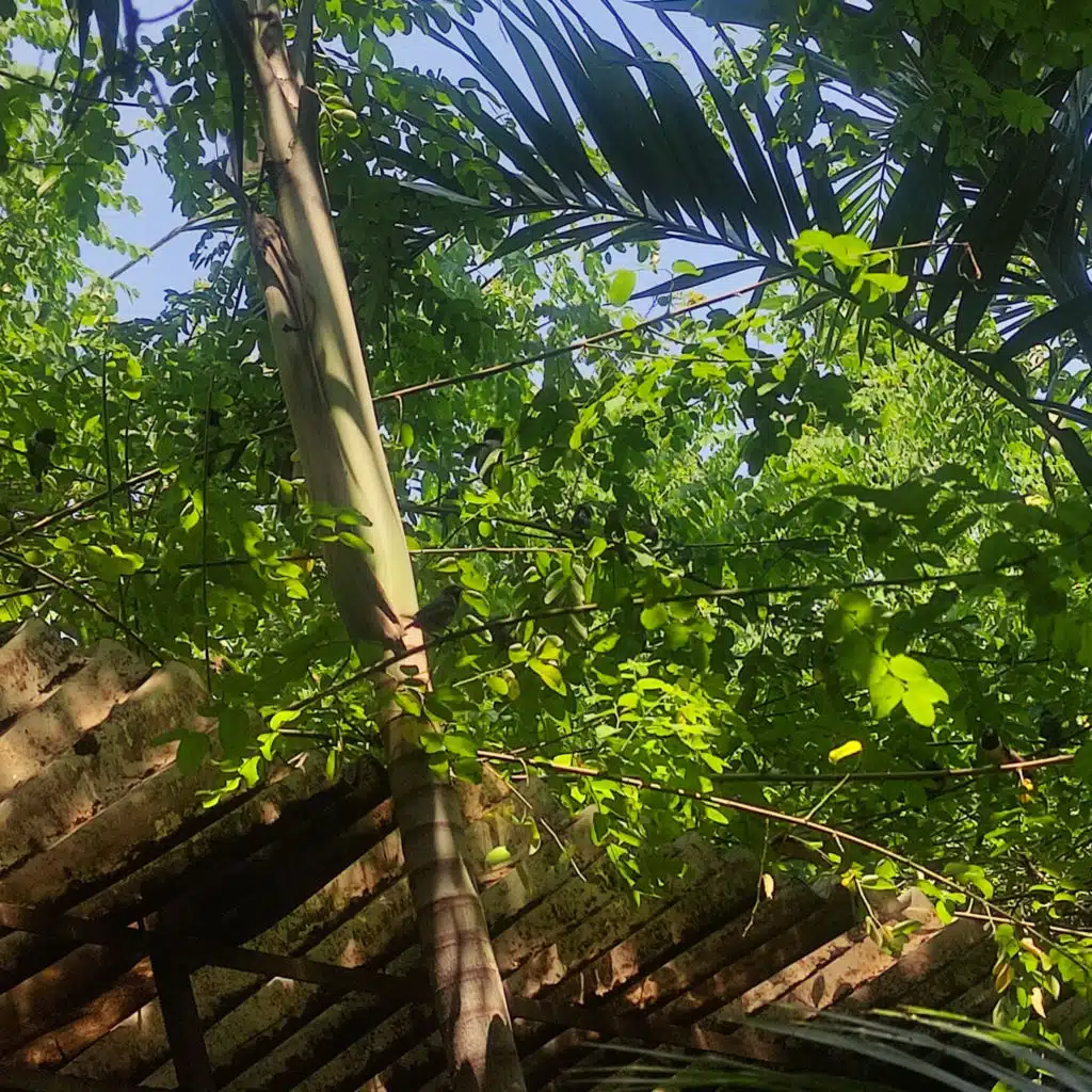 You Can't Find It Yet