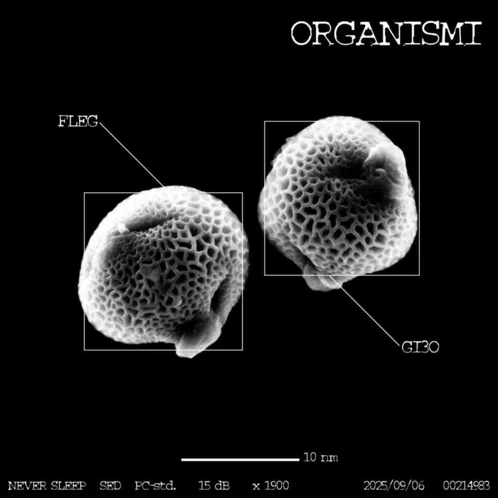 ORGANISMI