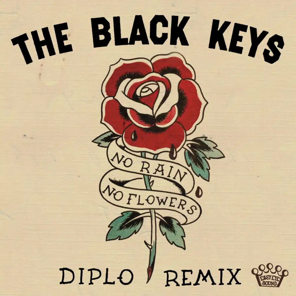No Rain, No Flowers (Diplo Remix)