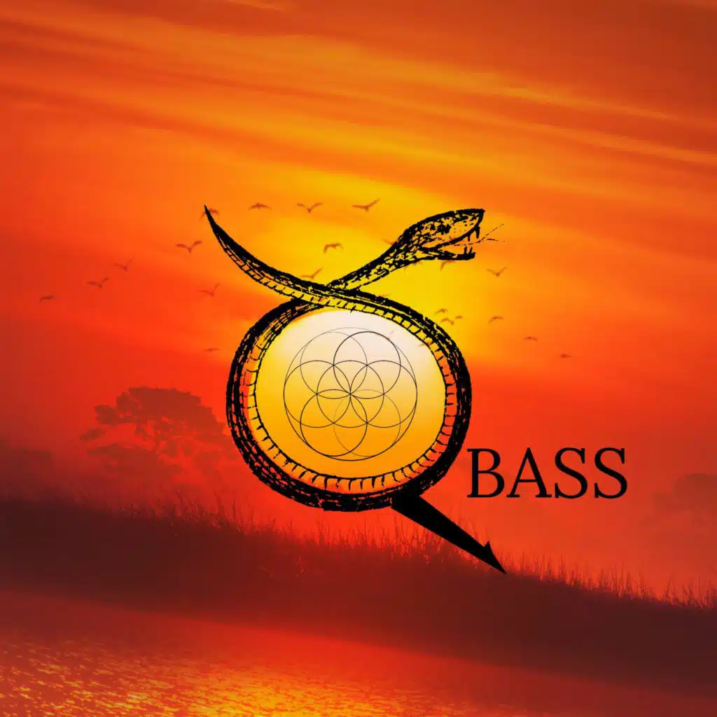 Qbass