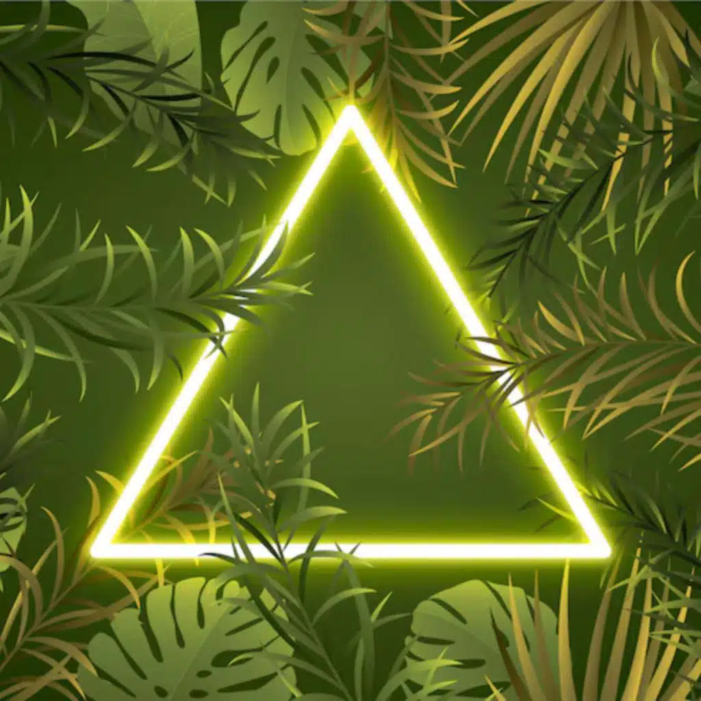 Jungle Green Shadows, Clear Air, Open Heart