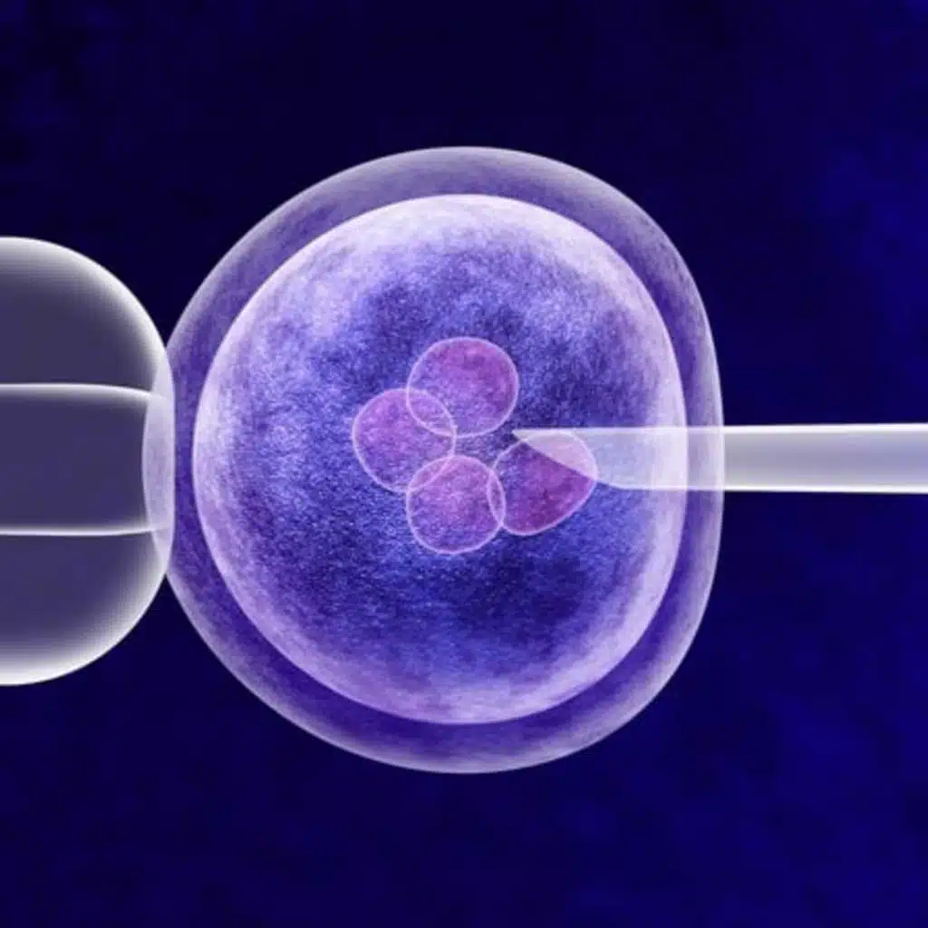 How to be An Adult: Egg freezing