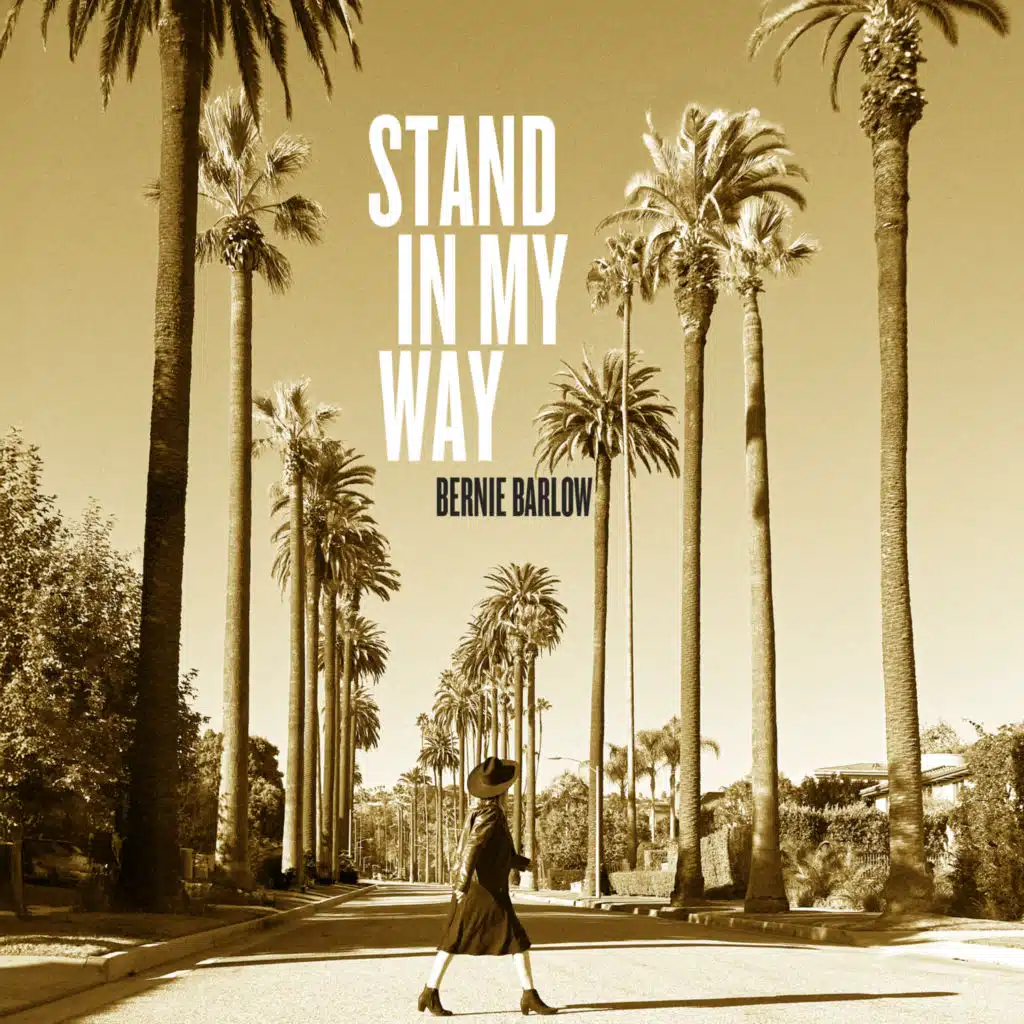 Stand In My Way