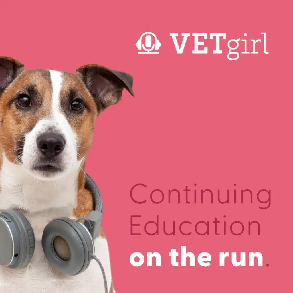Autoimmune Effects of Canine Influenza or DA2PP Vaccination on Platelets  | VETgirl Veterinary Continuing Education Podcasts