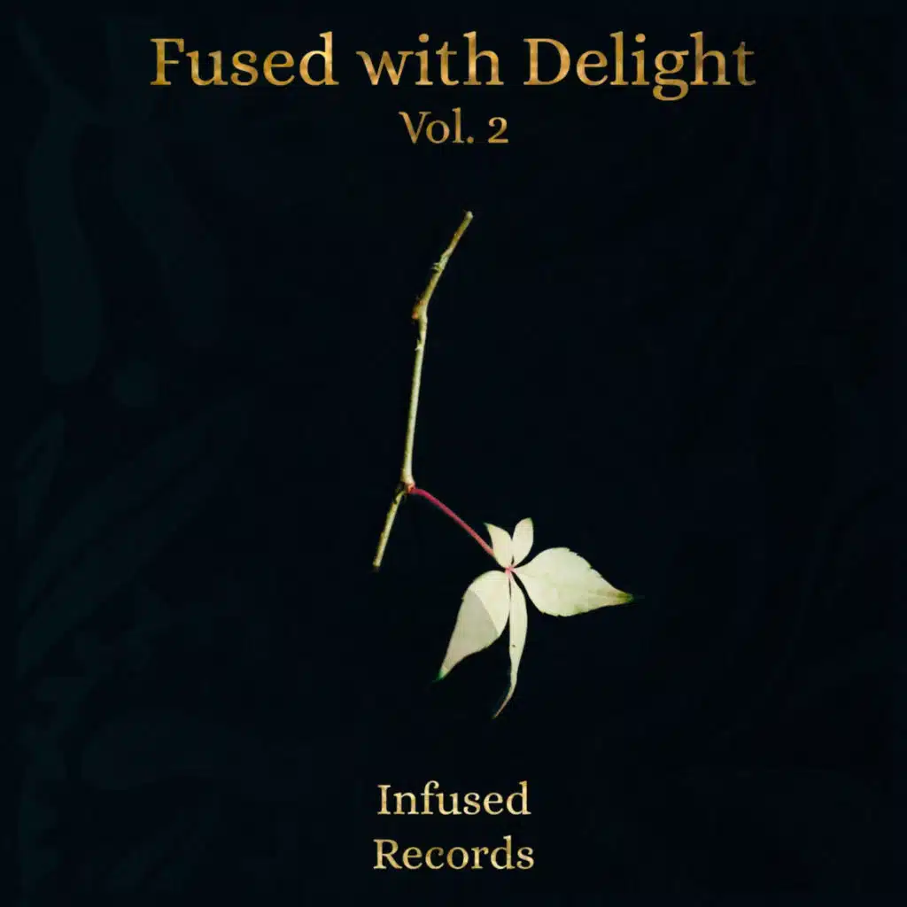 Fused & Delight Vol. 2