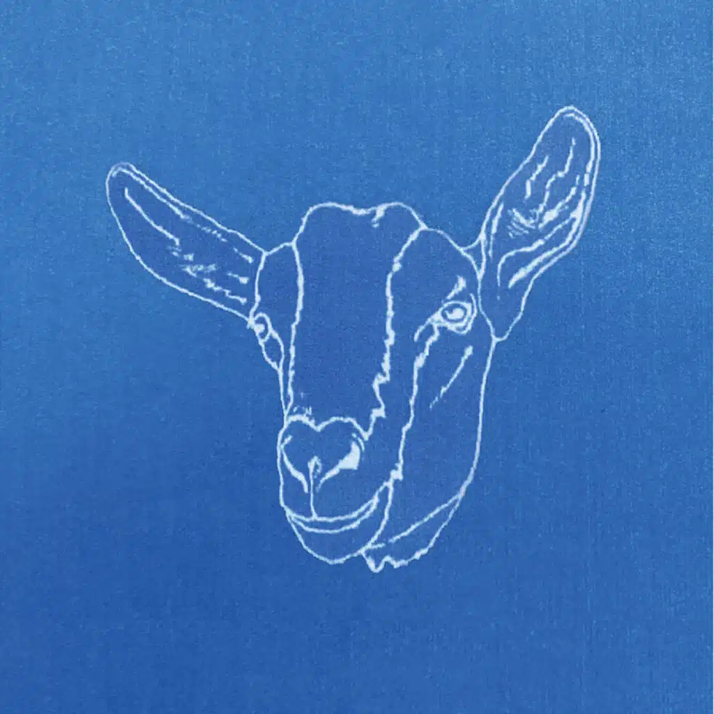 Nannygoat