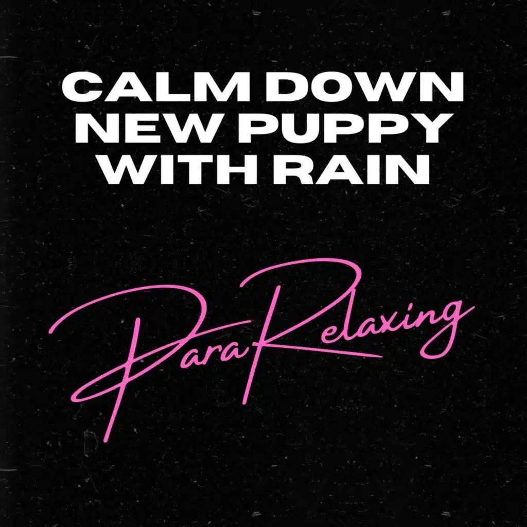 Calm Down New Puppy with Rain
