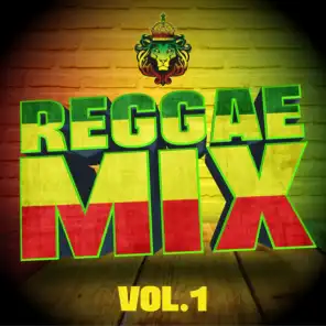Reggae Mix, Vol. 1