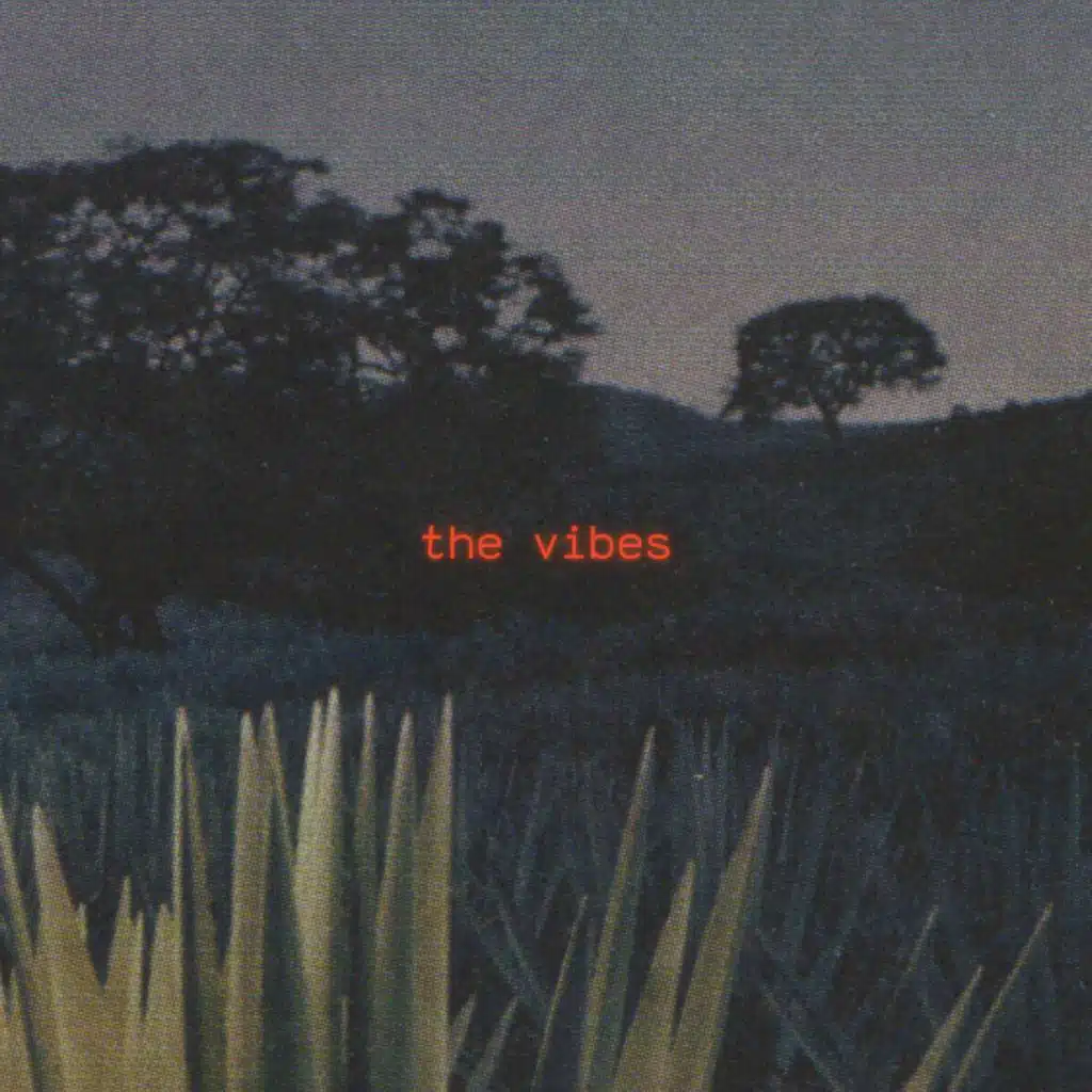 The Vibes
