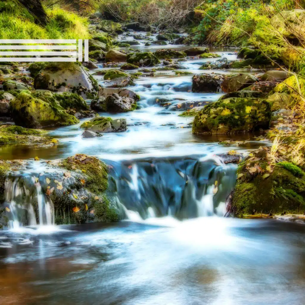 Sons Apaisants De Cascades