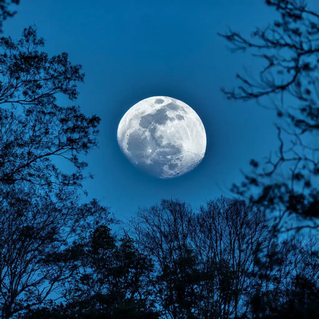 The Peace Of Night