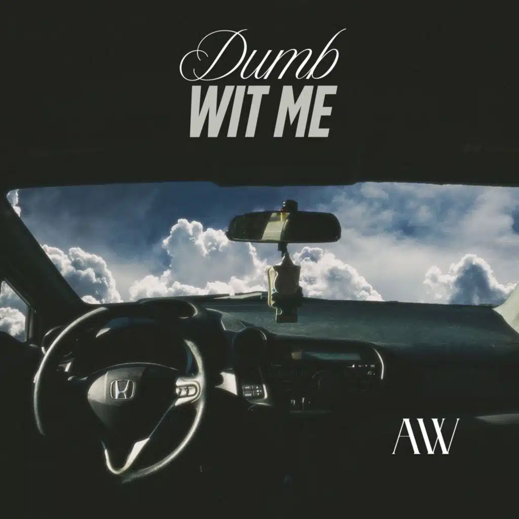 Dumb Wit Me (feat. Damz)