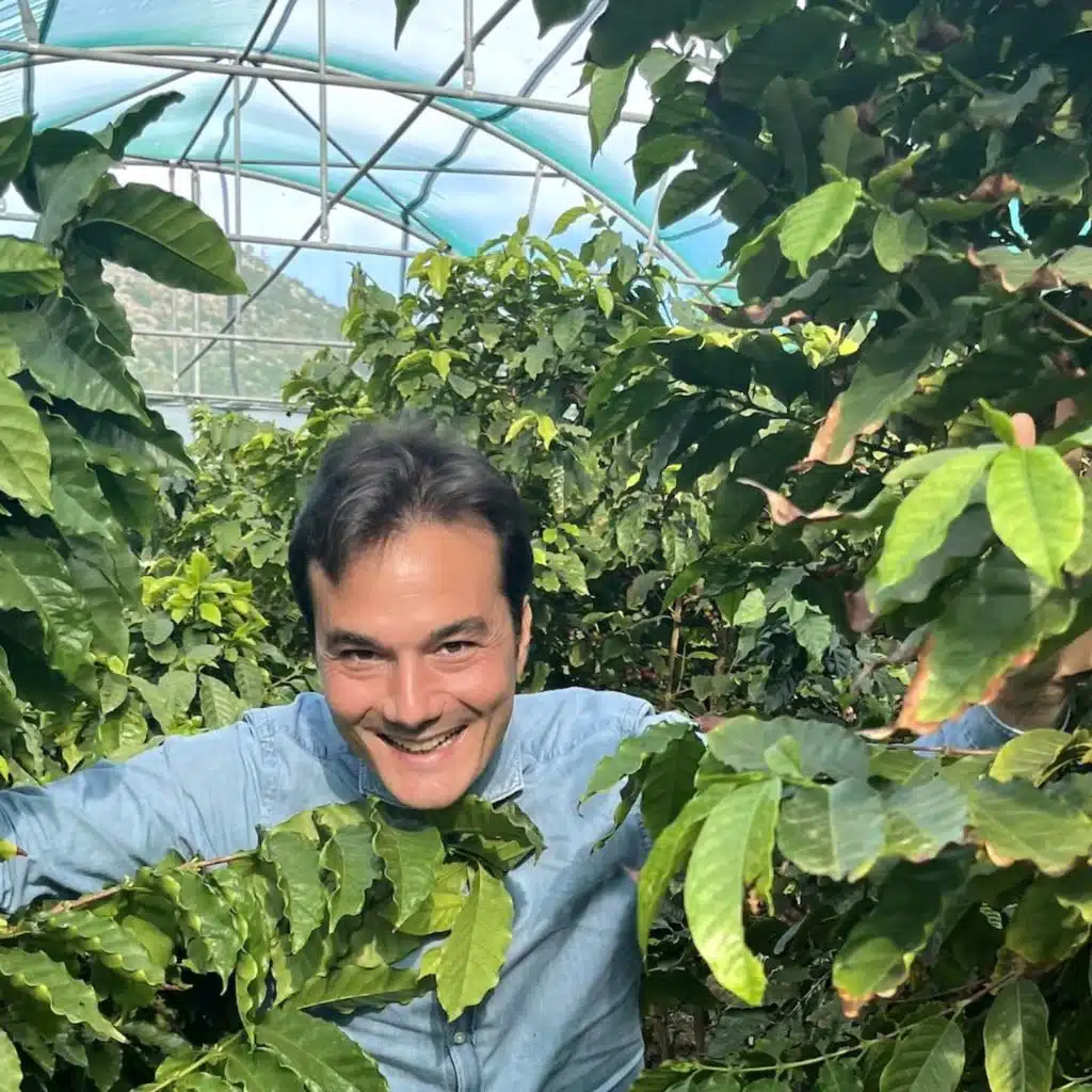 Sicilien blir tropiskt – nu ställs jordbruket om