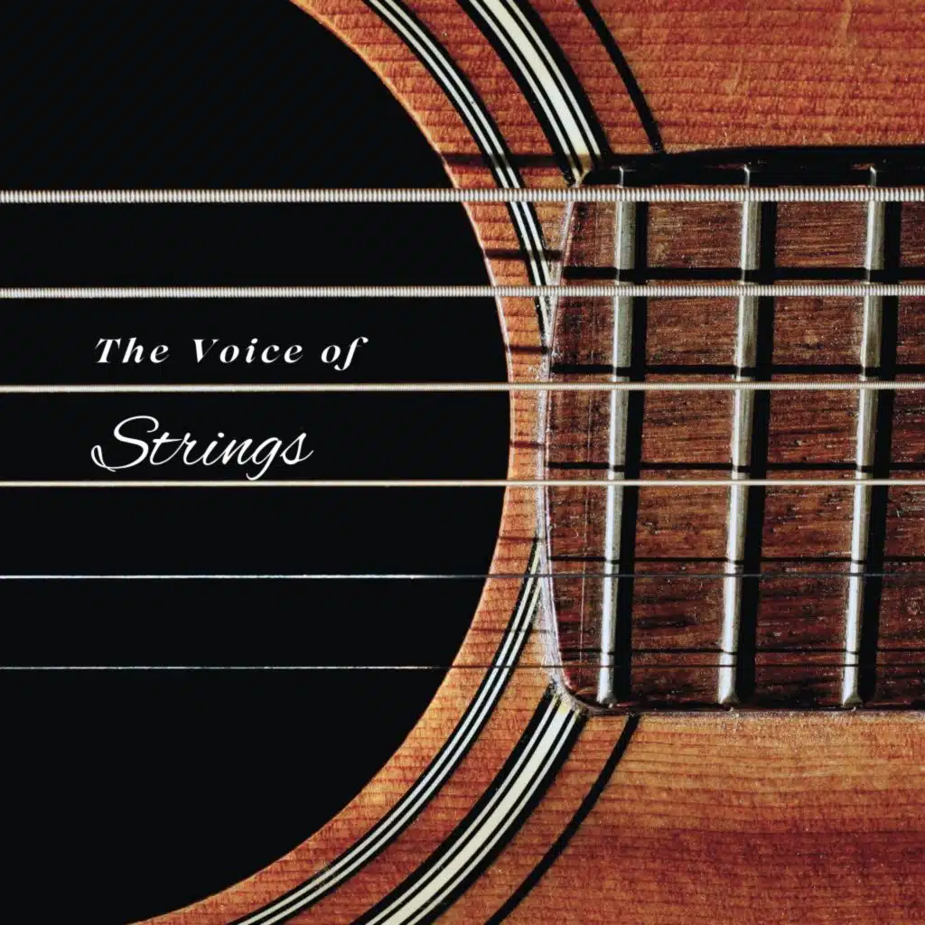 The Voice of Strings
