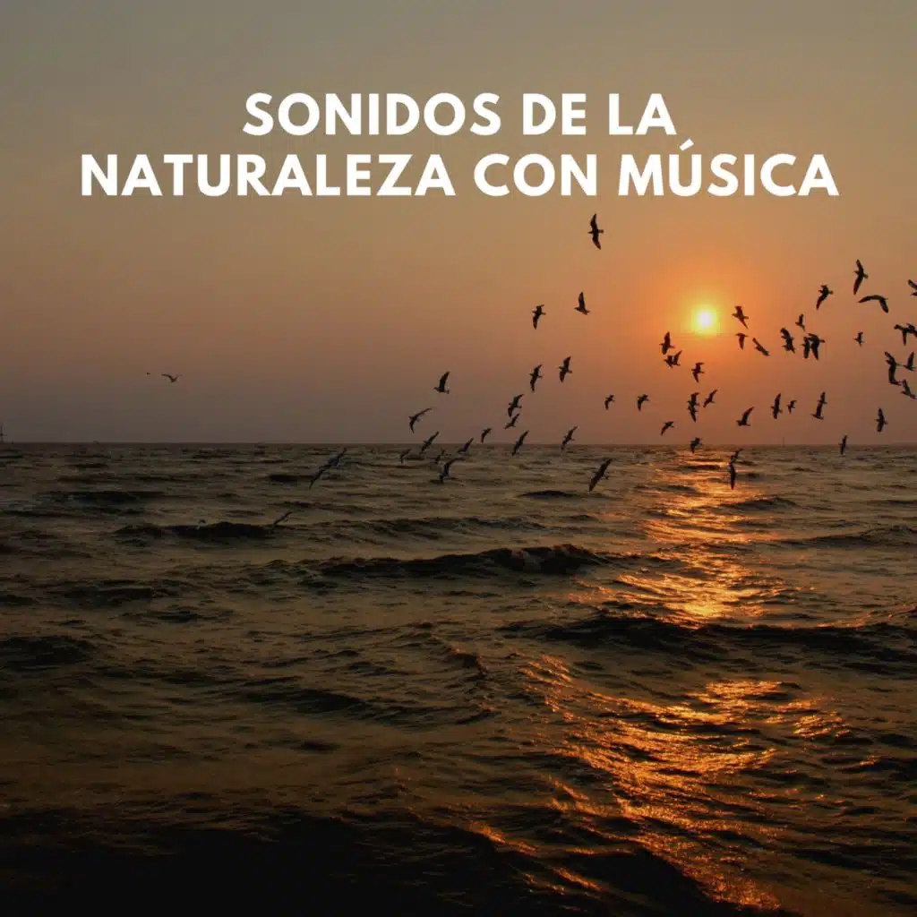 Sonidos de la Naturaleza con Música