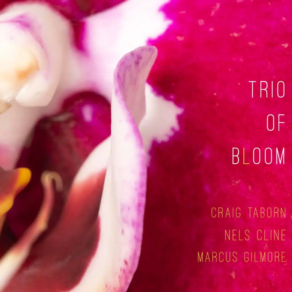 Trio of Bloom (feat. Nels Cline, Craig Taborn & Marcus Gilmore)