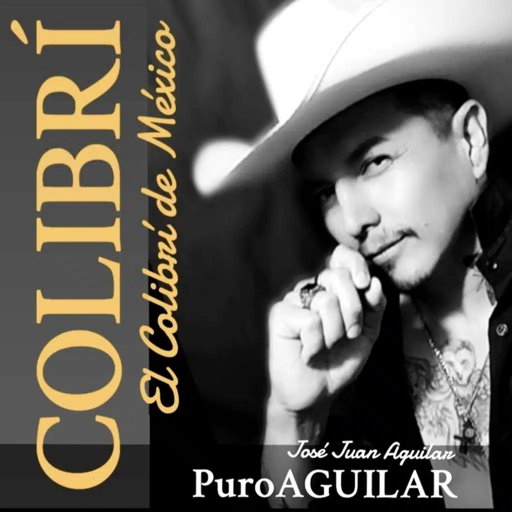 Colibrí