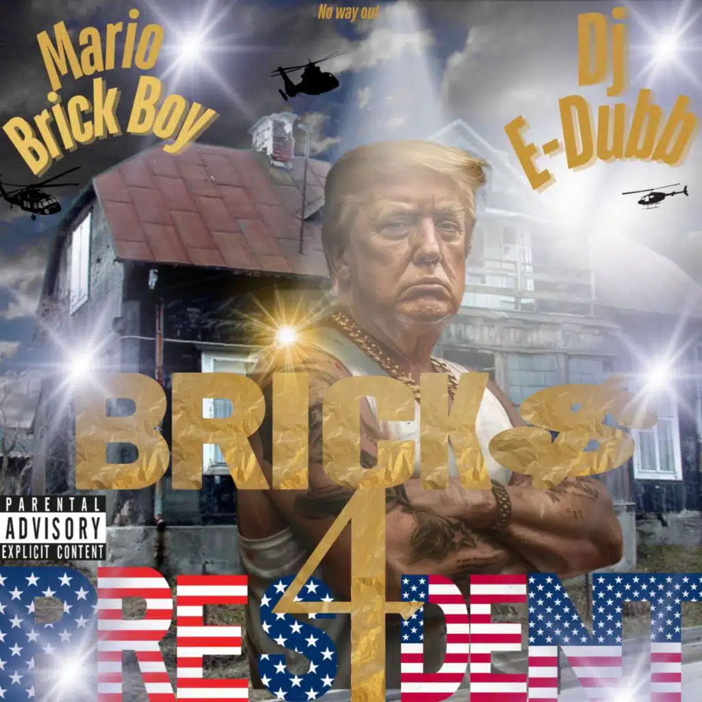 Bricks 4 President