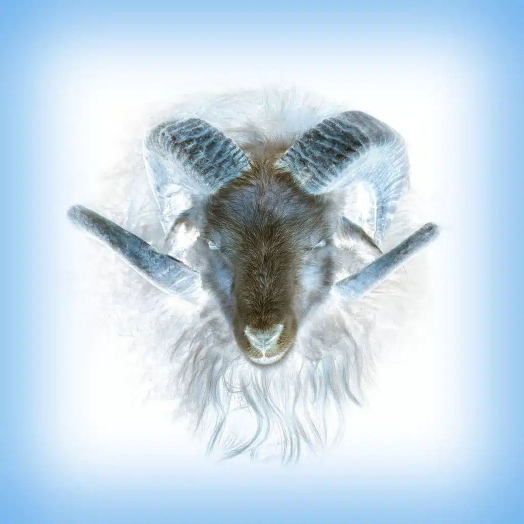 In The Loving Arms Of A Heretic