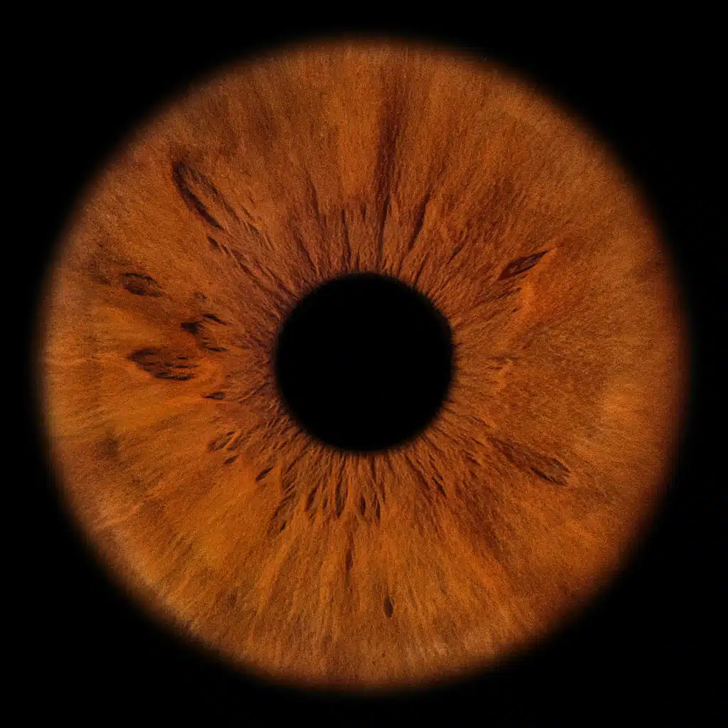 COMEBACK I «ПОДСОЗНАНИЕ»