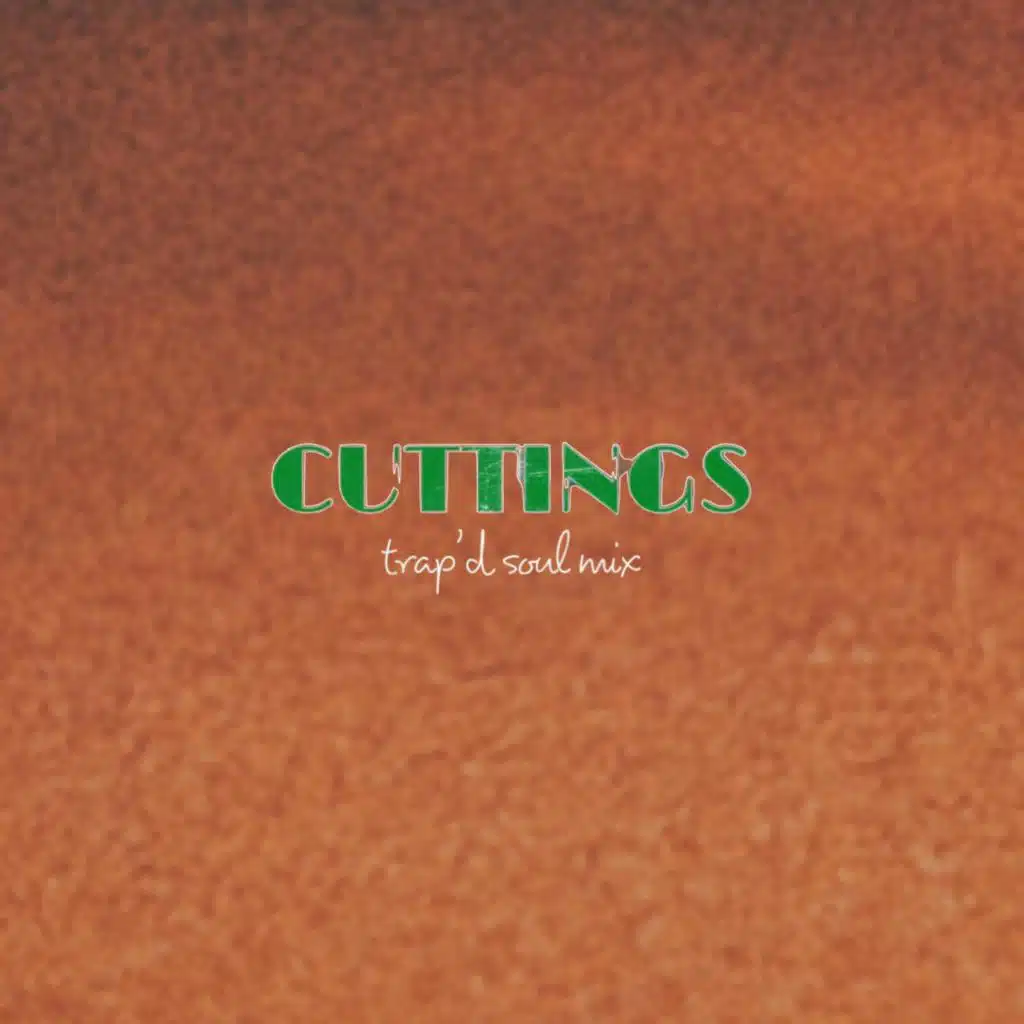 cuttings (feat. Cleo J'Adore) (trap'd soul mix)