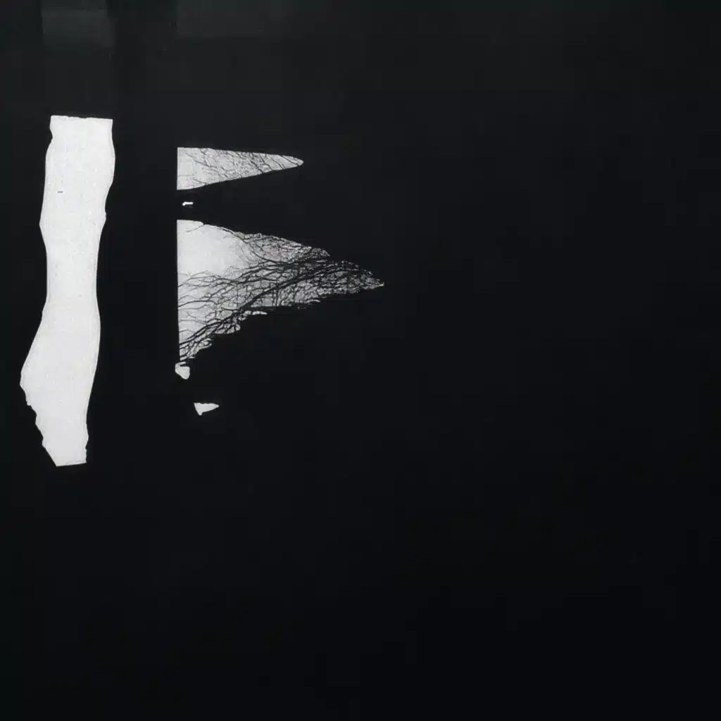 from shapes to shades