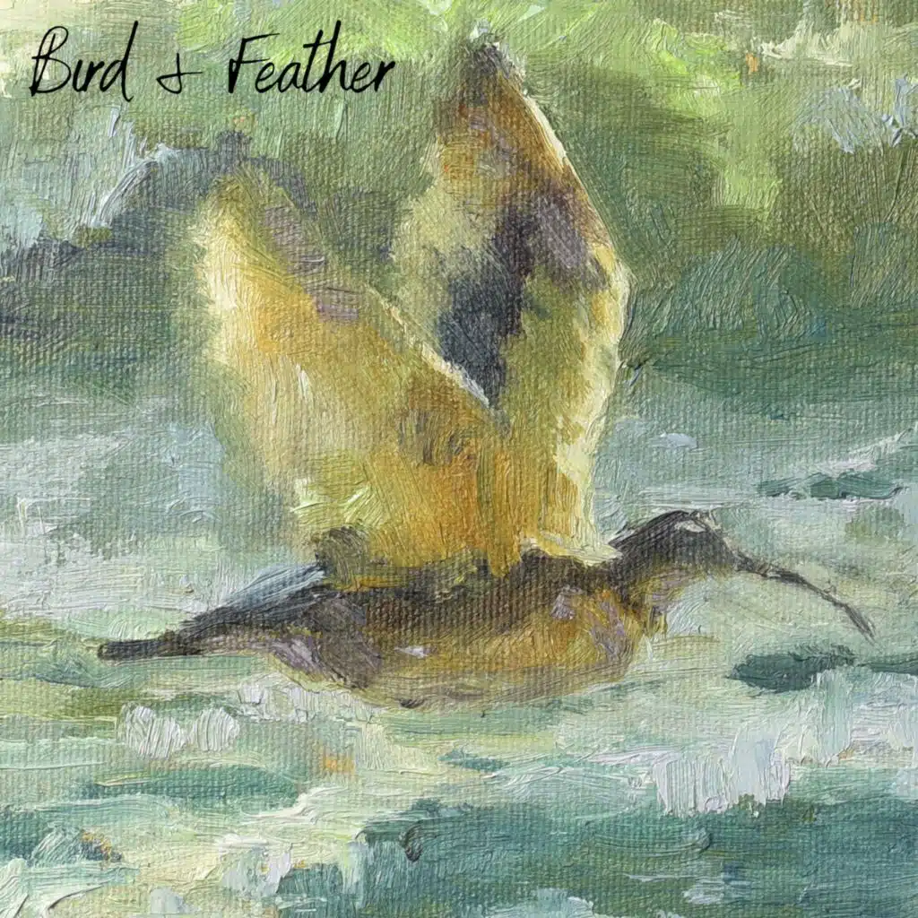 Bird and Feather (Instrumental) [feat. Garrick Pitts]