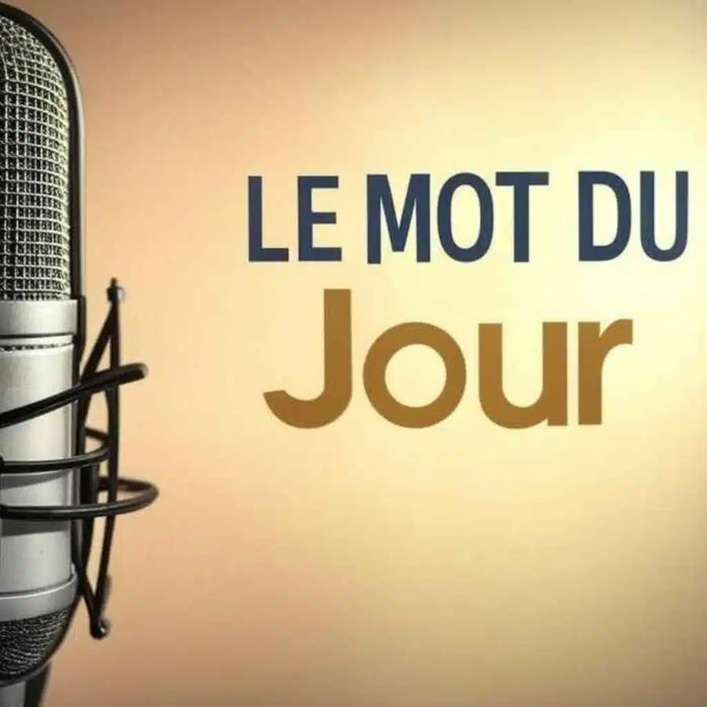 ÉCOLE - Le Mot du Jour #161