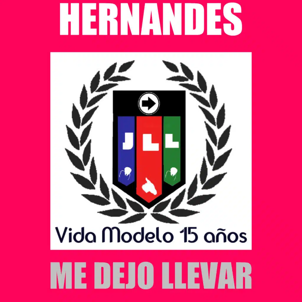 Me Dejo Llevar