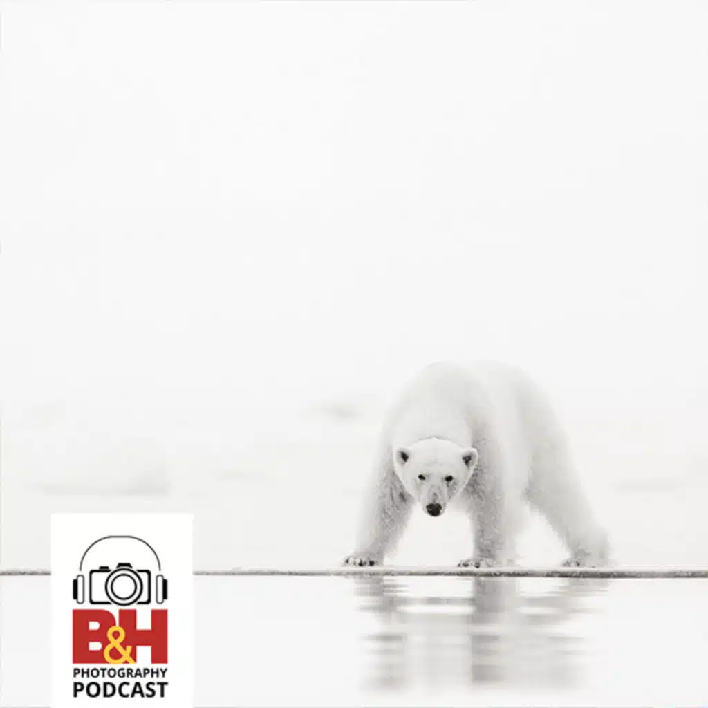 The Beauty & Impact of Polar Photography, with Acacia Johnson & Jonas Paurell