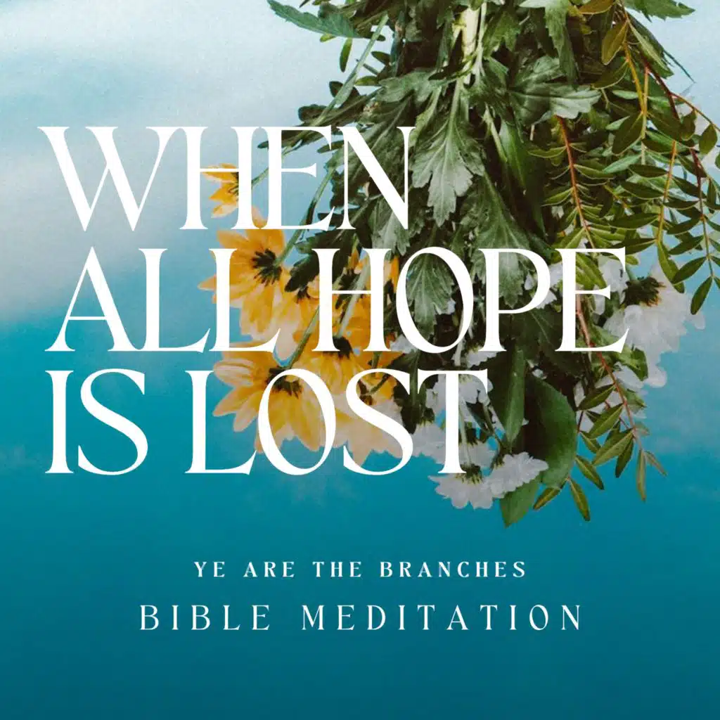When all hope is lost (Bible meditation)
