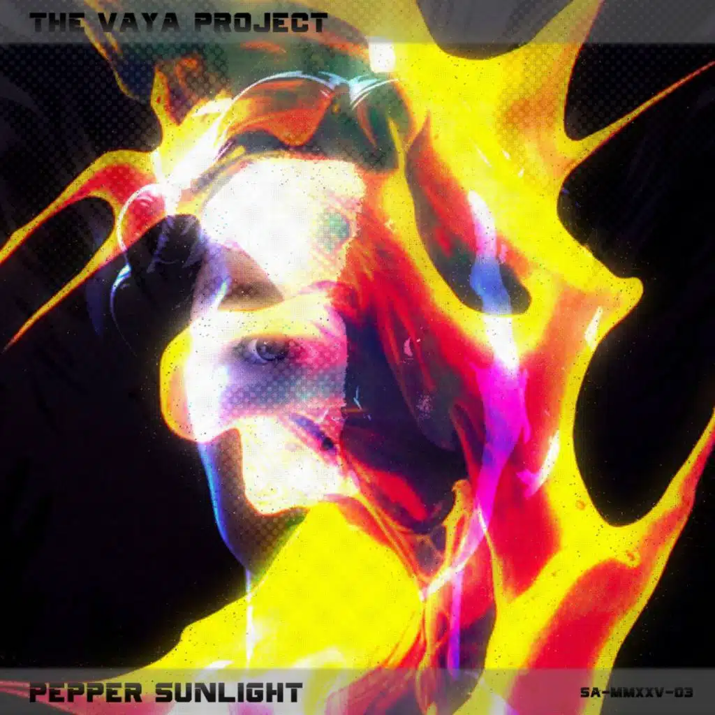 The Vaya Project