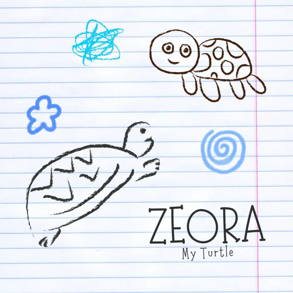 My Turtle