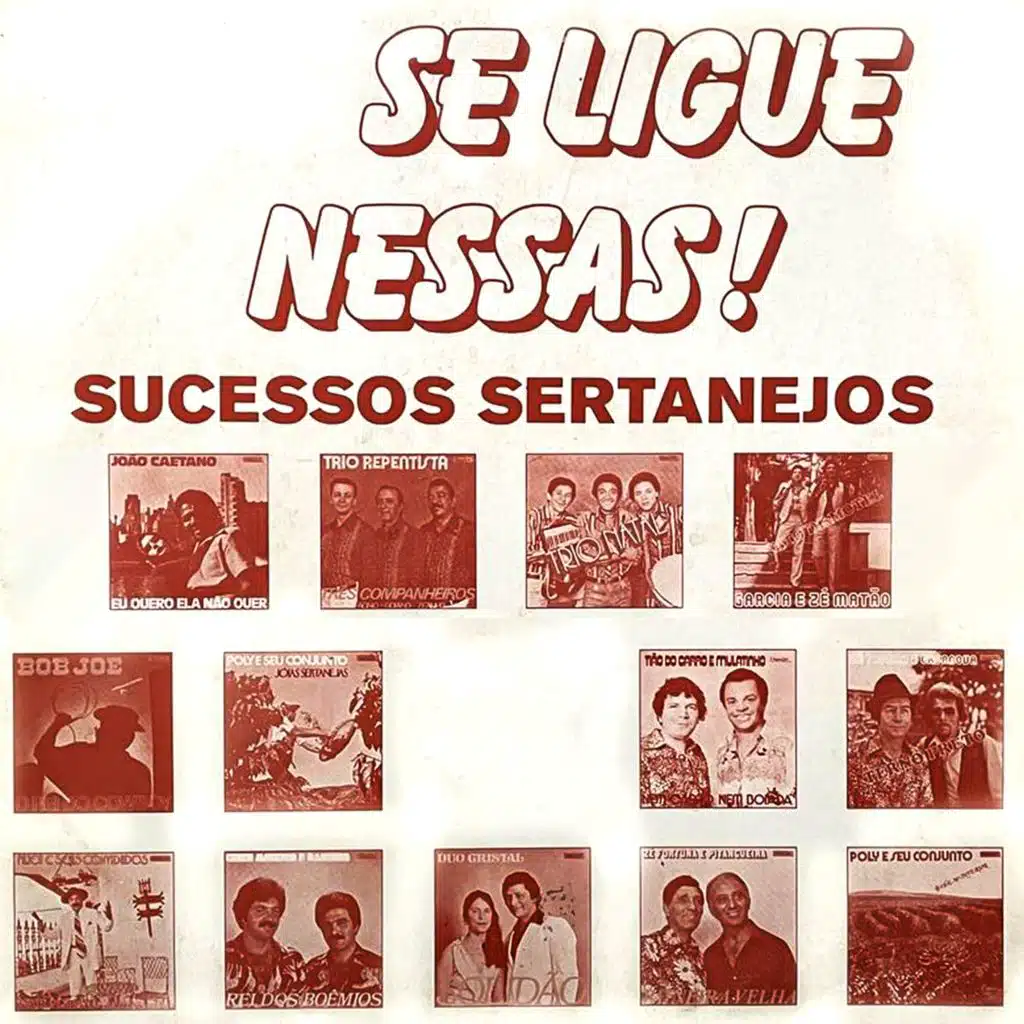 Se Ligue Nessas! Sucessos Sertanejos