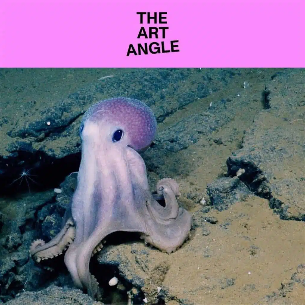 The Art World's Octopus Teacher