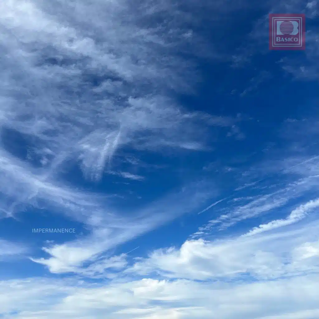 IMPERMANENCE