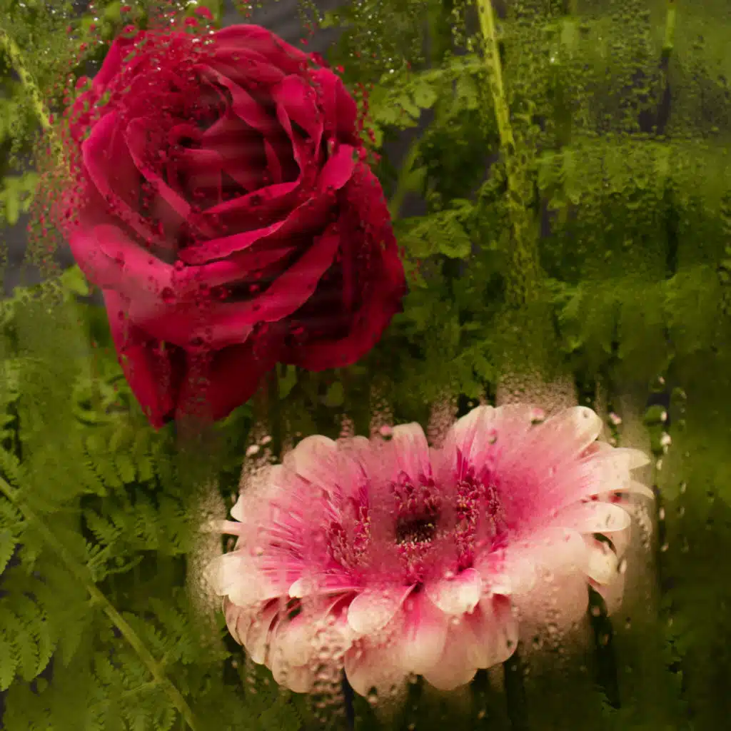 ВОСПОМИНАНИЯ